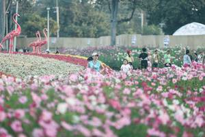 BIB: 
                            <button type="button" onclick="openModal(27343981)" class="btn btn-primary btn-sm float-right btn-popup" data-toggle="modal" data-target=".modal-high-quality">
                        <i class="fas fa-shopping-cart"></i> Add to Cart
                    </button>
                                            <button type="button" onclick="isThisMe(27343981, true)" class="btn btn-success btn-sm float-right btn-popup btn-isme hidden" data-toggle="tooltip" data-placement="bottom" title="นี่คือรูปของคุณใช่ไหม คลิกที่นี่เพื่อเอาเข้าอัลบั้ม">
                        <i class="fas fa-plus"></i> Add to album
                    </button>
                    <button type="button" onclick="isThisMe(27343981, false)" class="btn btn-warning btn-sm float-right btn-popup btn-isnotme hidden">
                        <i class="fas fa-ban"></i> Remove from album
                    </button>